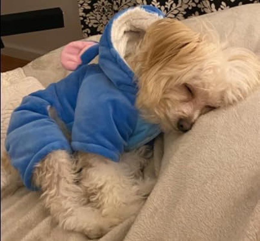 Pet Costume Dog Hoodies Pet Xmas Pajamas Outfit, Pet Coat for Small Medium Large Dogs Cats Winter Cartoon Coat for Party Halloween Christmas